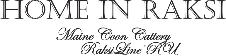 Home in Raksi — Raksi Line*RU Maine Coon cattery