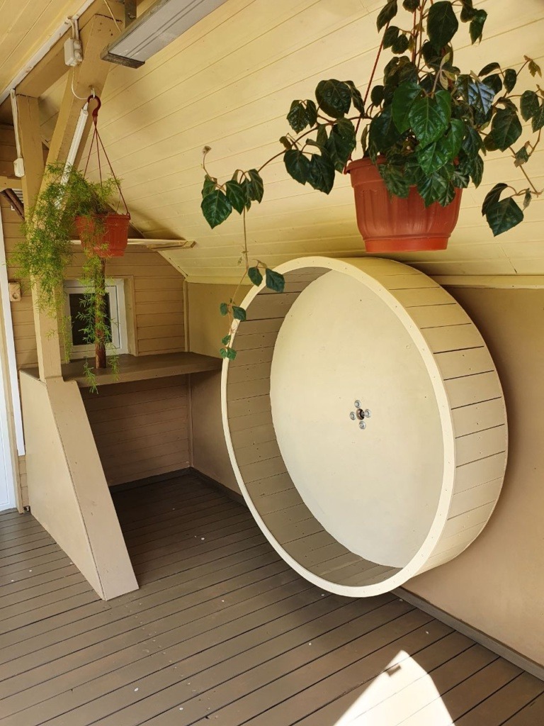 A cat exercise wheel in one of the Home in Raksi enclosures