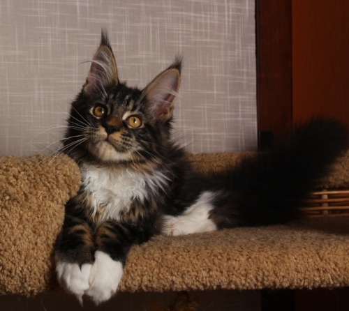 Ujin, photo 28