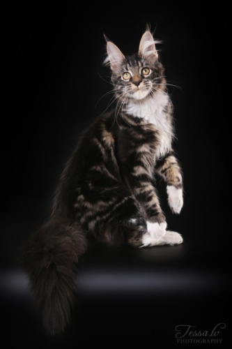 Ujin, photo 24