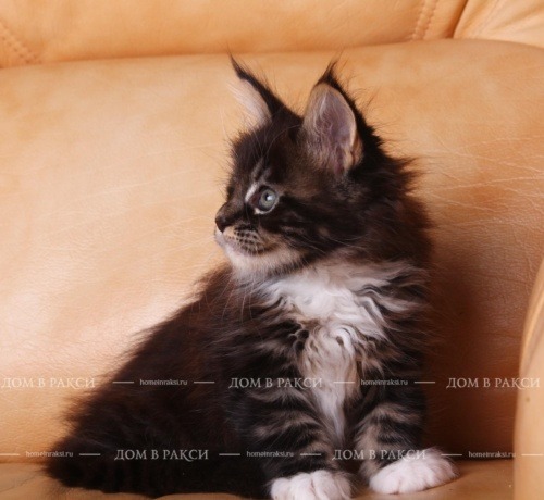 Ujin, photo 39