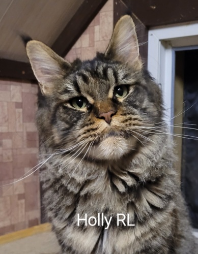 Holly Raksi Line, photo 1