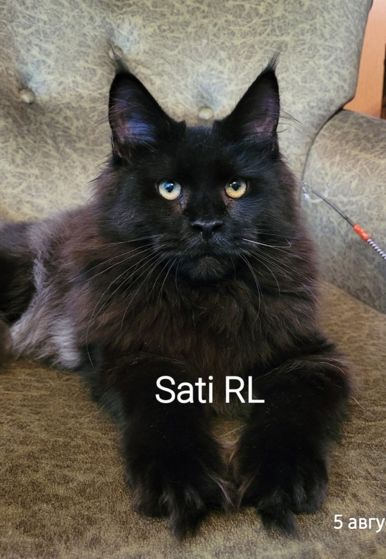 Sati Raksi Line
